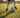 Best Youth Soccer Training Trends for 2026 (So Far)