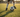 Best Youth Soccer Training Trends for 2026 (So Far)