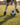 Best Youth Soccer Training Trends for 2026 (So Far)
